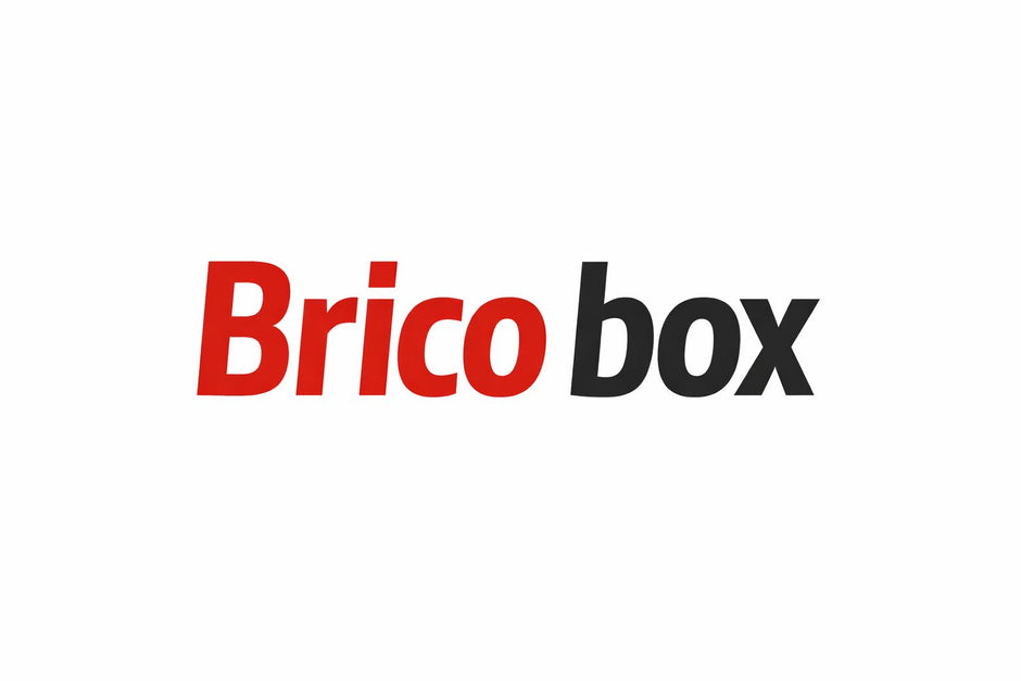 LOGO_BRICO_BOX_1